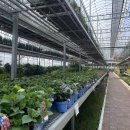 대림가든 이미지