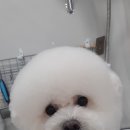 견생스타일 이미지