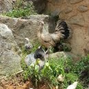 길나들이민박 이미지