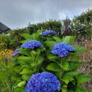 오리진수학 | -7,3.댄 브라운의 오리진