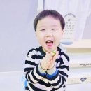 퍼니퍼니팡팡 이미지