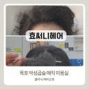 써니헤어 - 평택시 지산동 | 목포 산정동 미용실 추천 효써니헤어｜악성곱슬 복구매직 후기