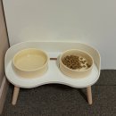 헬로우펫 이미지