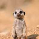 당진행정사 사무소 이미지