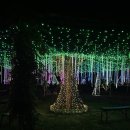 축제코스 이미지