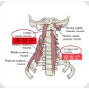 TREX트레이닝센터 이미지