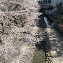 만덕3동-4 이미지