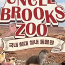 엉클슈즈 이미지