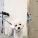 홍글몽글 이미지