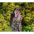 비밀정원 이미지