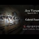 Ave Verum(Opus 65, No. 1) - Gabriel Fauré | 서울가톨릭싱어즈 이미지