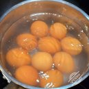 파리의 아침 | 유럽] 4. 파리의 아침