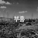 (주)부흥 이미지