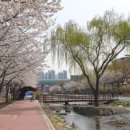 성내5교 이미지