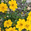 삼례골프랜드 이미지