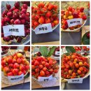 하금농장 이미지