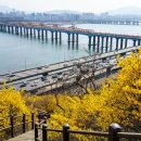 달맞이근린공원 이미지