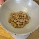 케어트립 | 주트립 케어볼 캣 어덜트 1.2kg 가수분해사료, 우리 고양이 반응이 달라졌어요