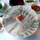 정남진골프리조트 티스토리