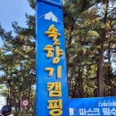 솔향기치킨