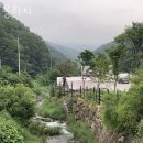 가평캠핑장 몽리치 이용정보