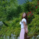 민서희 카카오 검색결과