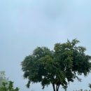 대구민박 이미지