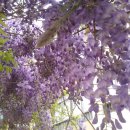 금사초등학교 이미지