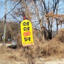 삼삼옻닭