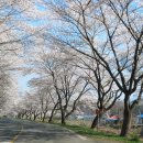 주산주유소 이미지