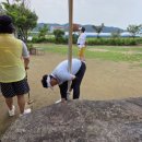 푸른캐노피 이미지