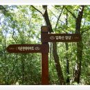 입화산참살이숲 이미지