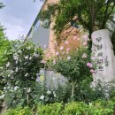 동산우성 이미지