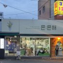 대명동꽃집 은은해에서 행잉플랜트 가져온 후기