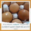 계림유통 | 유정란 추천, 나는자연인이다 동물복지 무항생제 계란 솔직 후기예요!