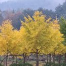 천지농장(2) 이미지