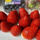 강남fruit