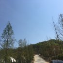 넘버트웰브