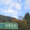 피그캠 이미지