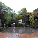 일출랜드식물원 이미지