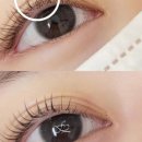 페이스라인(FACELINE) 이미지