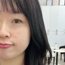 로벨르헤어 이미지