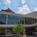 모아 | 포항 베이커리 카페 슈슈모아 후기 (내돈내산)