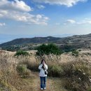 가회면_둔내리(암롤박스)_1 | [경상남도나들이_합천]