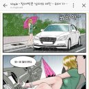 장어의힘 Daum카페