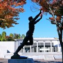 성포예술광장 이미지