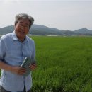 한진떡집