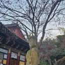 진주 미륵암 상평동 석불입상 이미지