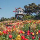 제주허브동산 이미지