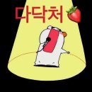 쇼노트